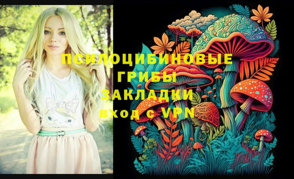 мдпв Балахна