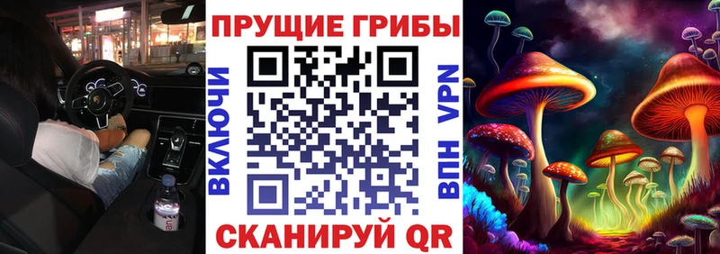 нарко площадка какой сайт  Котельники  Галлюциногенные грибы GOLDEN TEACHER 